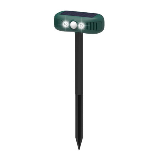 EDA0085924.jpg@3a87692f08e4b154fd27bce5a44842c3