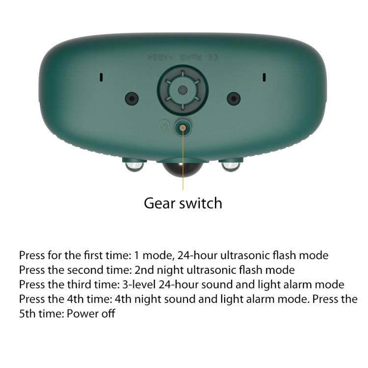 EDA0085924_2.jpg@481dade0e6da54548833751107d9015a