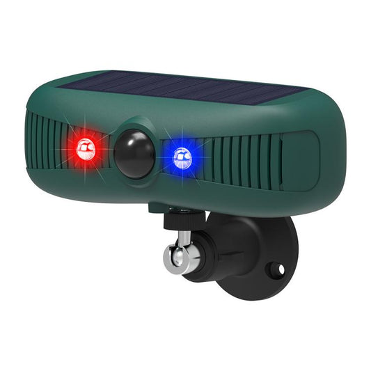 EDA0085927.jpg@7c2fd5e55e63791c75683787be99d85d