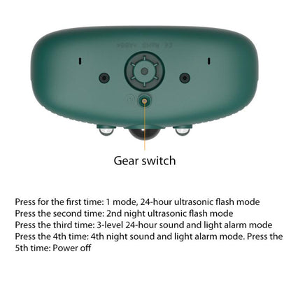 EDA0085927_2.jpg@481dade0e6da54548833751107d9015a