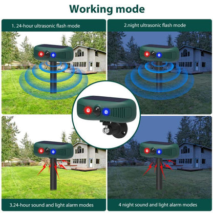 EDA0085927_5.jpg@3a62e42d77af9444c091247e9435239b