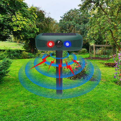 EDA0085927_7.jpg@da3c847f36780c6ef758a5abb85621e7