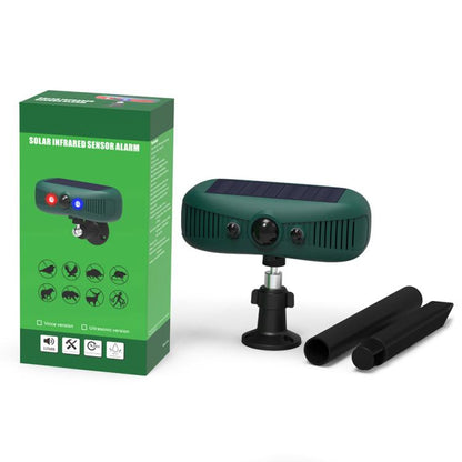 EDA0085927_8.jpg@baf6447de70079c86d6071290c7447b1