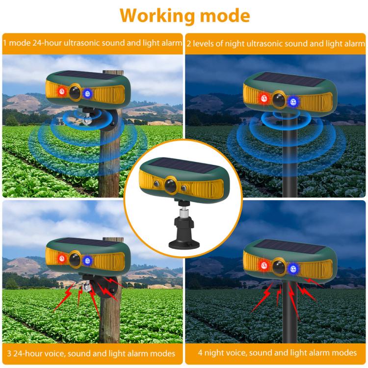 EDA008592901A_5.jpg@691e42294c832925c13329f59cebb762