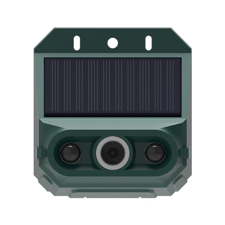 EDA0085934.jpg@9855b7c365bfc59554dba38e7301c7ce