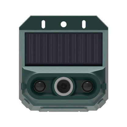 EDA0085934.jpg@9855b7c365bfc59554dba38e7301c7ce