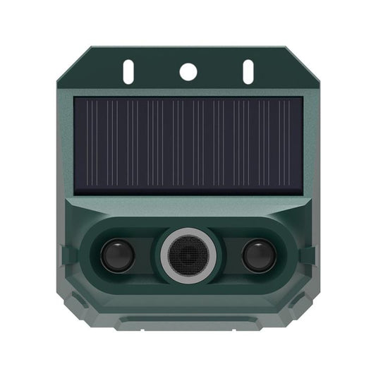 EDA0085934.jpg@9855b7c365bfc59554dba38e7301c7ce