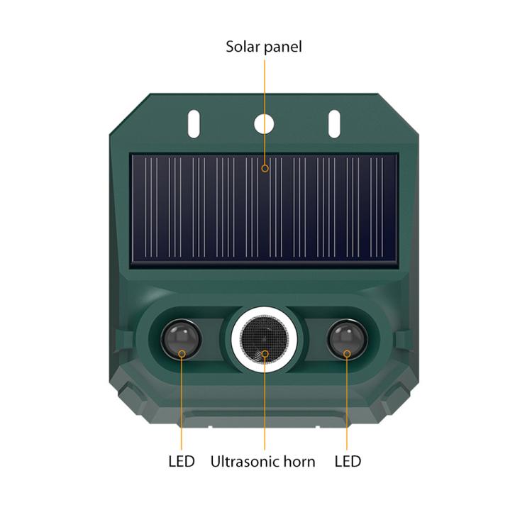 EDA0085934_3.jpg@95b8d2badd0ac41093f65c78574301b4