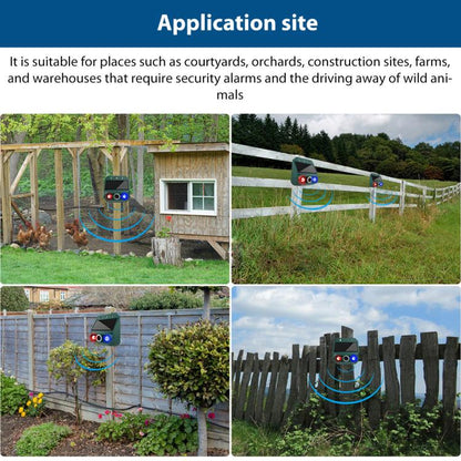 EDA0085934_6.jpg@3e5f38ae5238942f127b49c74bac0b17