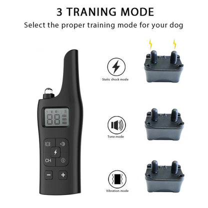 EDA0086740_B2.jpg@eb6ee90b4a4103d2583ce986e37f2101