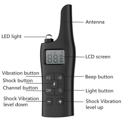 EDA0086740_B3.jpg@93329c6a7737e601a8970d8bf3655af7