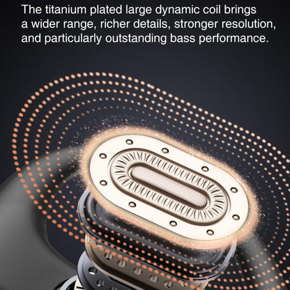 EDA0087577_B3.jpg@b4a968e8dcfcafd11888640e0f0ac20b