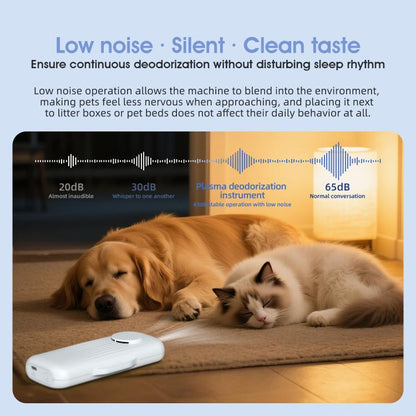 EDA008773601_B8.jpg@37afa74d5ef987ffe76e6449458cda4d