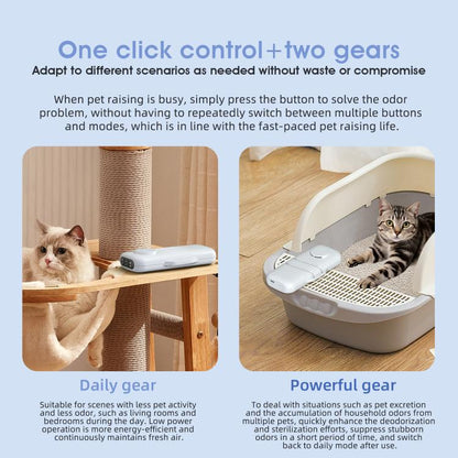 EDA008773601_B9.jpg@a028924235e3372aac5355dc9849451d