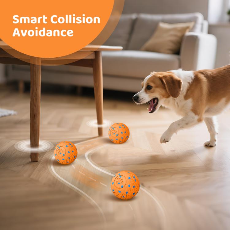 EDA009387501A_2.jpg@c6861219ca9dfff6ef9af3a9b623f3e8