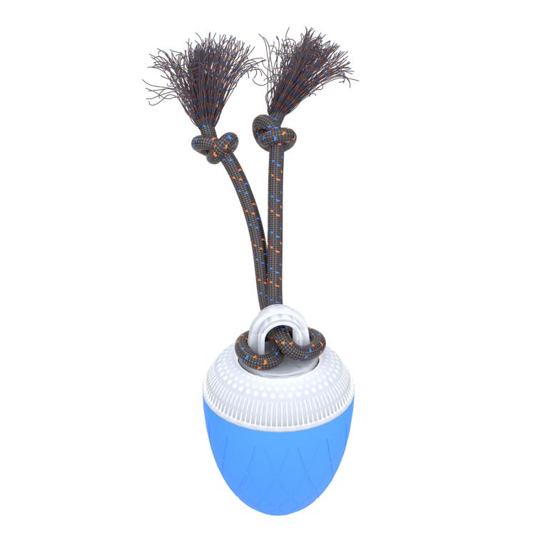 EDA009547201B_1.jpg@4ae51805c81ebe443806fb645fe54edb