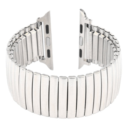Elastic Aluminum Watch Band For Apple Watch Series 9&8&7 41mm / SE 3&SE 2&6&SE&5&4 40mm / 3&2&1 38mm(Silver) by bashfashion