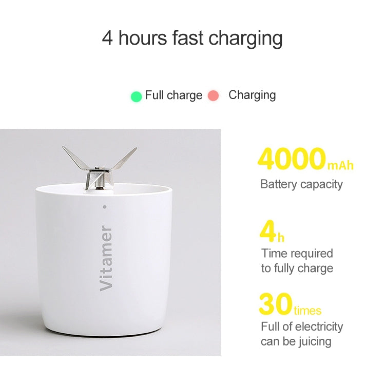 Vitamer USB Mini Portable Juicer Juice Blender Lemon Fruit Squeezers Reamers Bottle (Blue) by bashfashion