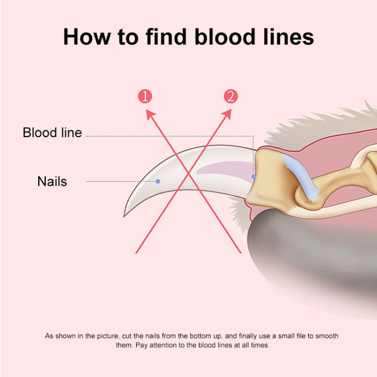 Pet Nail Clippers and Polisher Set, Size: Small(Pink) by bashfashion