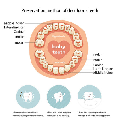 Creative Wooden Children TV Set Deciduous Tooth Preservation Box Baby Teeth Tooth House Storage Box by bashfashion