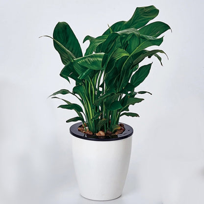 Lazy Flower Pots Automatic Water-absorbing Hydroponic Potted Plants Circular Resin Plastic Flower Pots Double-layer Design Self Watering Planter, Diameter: 11cm, Height: 10.3cm(White) by bashfashion