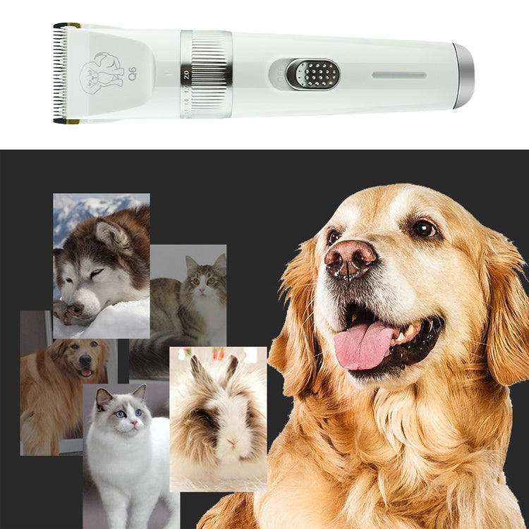 Q6 USB Charging Electric Pet Shaver with Four Combs by bashfashion