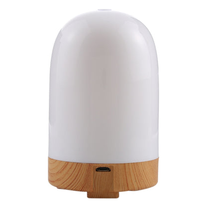 5W Capsule Shape Mini Humidifier with Colorful Light, Capacity: 50ml, DC 5V(White) by bashfashion