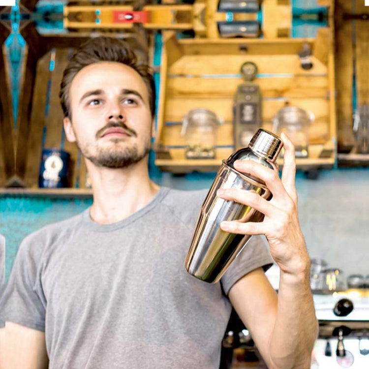 8 in 1 Stainless Steel Wine Cocktail Shaker Tools Set with Cloth Bag, Capacity: 600/450ml by bashfashion