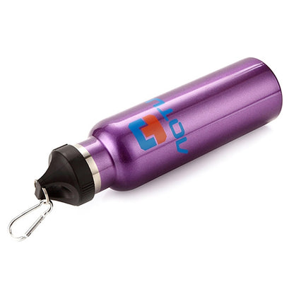 Aotu AT6646 Outdoor Travel Kettle Car Stainless Steel Thermos Bottle (Purple) by AOTU