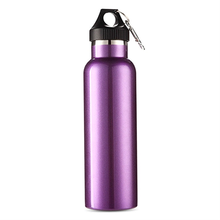 Aotu AT6646 Outdoor Travel Kettle Car Stainless Steel Thermos Bottle (Purple) by AOTU