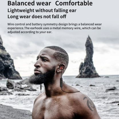 KZ Waterproof High Fidelity Bluetooth Upgrade Cable for KZ ZSN Earphones(Black) by KZ