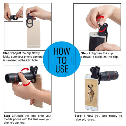 IP8G9889_3.jpg@5dc47d772b970de283a2f1424c70d8a5