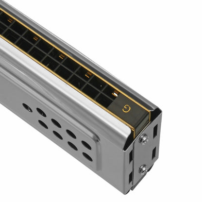 Swan SW24-12A 24-holes Double-sided Harmonica Beginner Polyphony Box Adult Children Beginners Performance by bashfashion