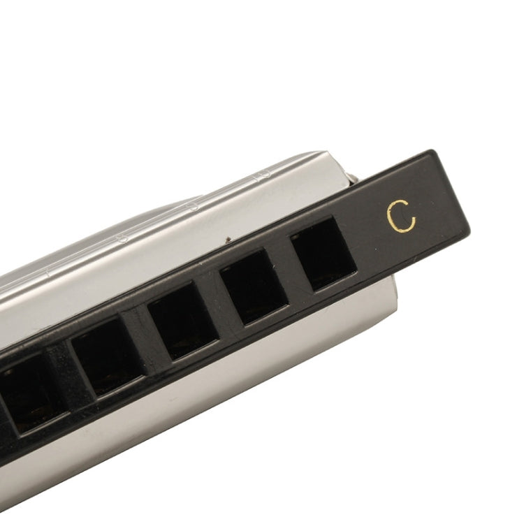 Swan SW1020-7 10 Holes Diatonic Blues Harp Harmonica Adult Student Children Beginner Instruments by bashfashion