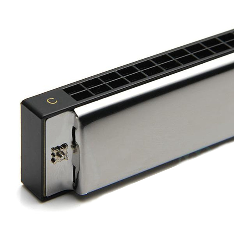 Swan 24-holes Polyphonic Harmonica Beginner Children Adult Students Playing Musical Instruments by bashfashion