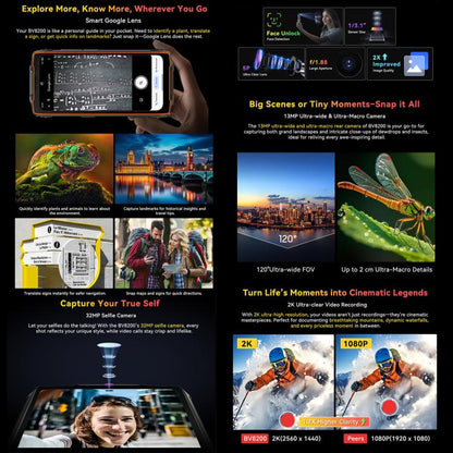 MPH2605_B12.jpg@8bee2bd1e038670e570719e449a416cc