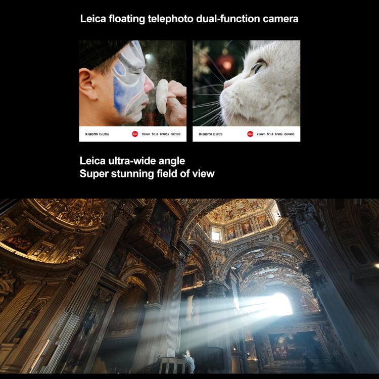 MPH2833_B12.jpg@c0752d802c130490a852e7edcd14136d