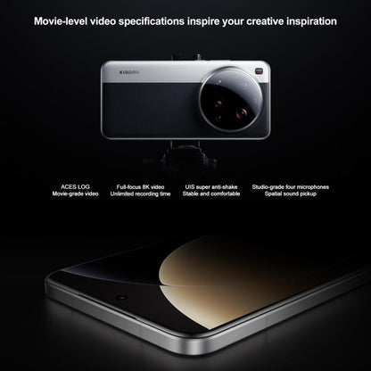 MPH2833_B15.jpg@eaf4485d7a93a394165f9da91b16bc84