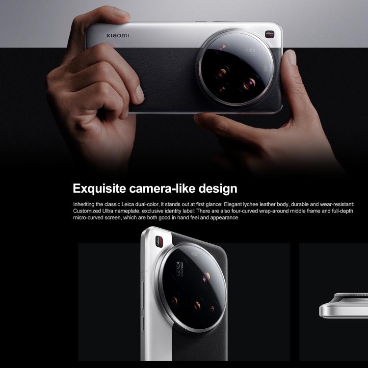 MPH2833_B4.jpg@625509926373464884218a37824a9e74