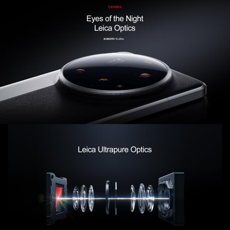 MPH2833_B5.jpg@24ead8f27f3d33bc692b1a7d3018a7bb