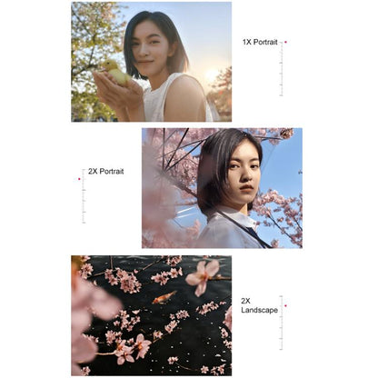 MPH3533_B10.jpg@911729c05c5f389780b1a12b734bcce4