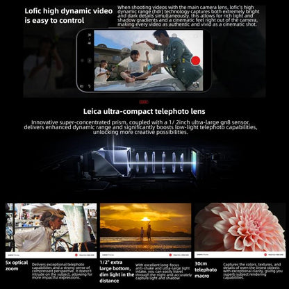 MPH4275_B18.jpg@564981cc87c8c724b858d45fec405dcd