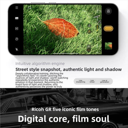 MPH4484_B8.jpg@2df79a4260b79444fe6c55b237e969b3