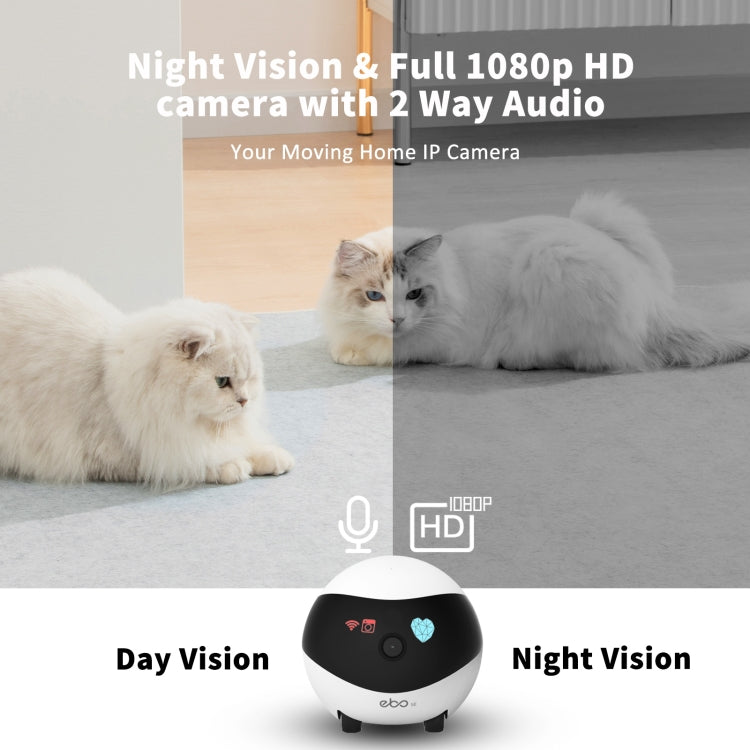 EBO SE 1080P HD Smart Home Companion Robot Remote Monitoring Camera, Support Infrared Night Vision & Two-way Voice & TF Card, US Plug by bashfashion