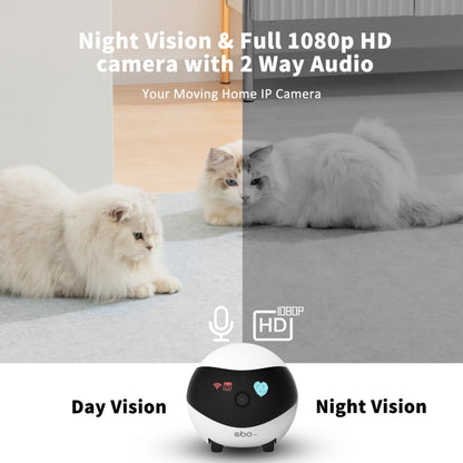 EBO SE 1080P HD Smart Home Companion Robot Remote Monitoring Camera, Support Infrared Night Vision & Two-way Voice & TF Card, US Plug by bashfashion
