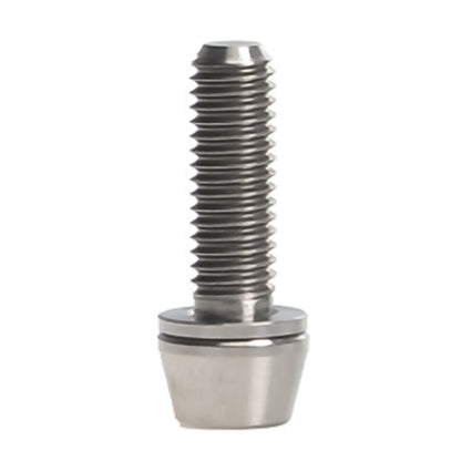 TOSEEK Bicycle Handlebar Stem Screw Titanium Alloy M5x16mm Mountain Bike Fixed Gear Handlebar Stem Screw with Gasket (Titanium Color) by TOSEEK