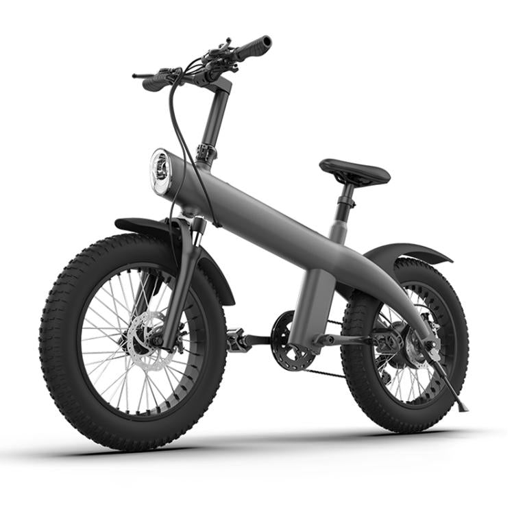 Q3 750W All-terrain Off-road Electric Bicycle with 20 inch Tires, US Plug (Iron Black) by bashfashion
