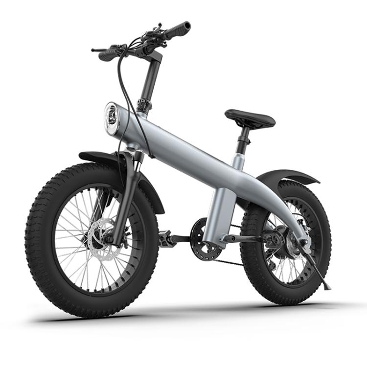 Q3 750W All-terrain Off-road Electric Bicycle with 20 inch Tires, US Plug (Titanium Gray) by bashfashion