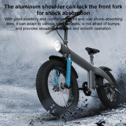 Q3 750W All-terrain Off-road Electric Bicycle with 20 inch Tires, US Plug (Iron Black) by bashfashion