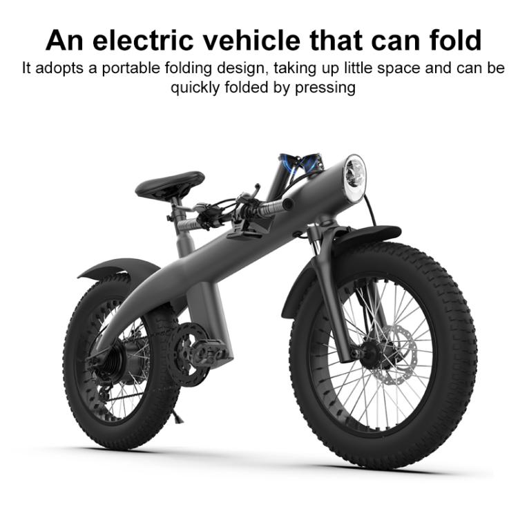 Q3 750W All-terrain Off-road Electric Bicycle with 20 inch Tires, US Plug (Titanium Gray) by bashfashion
